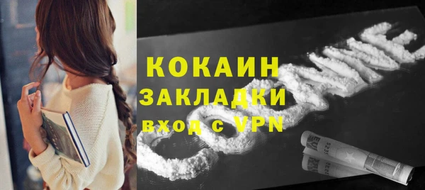 гашик Арсеньев
