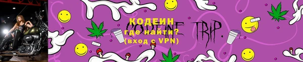 гашик Арсеньев