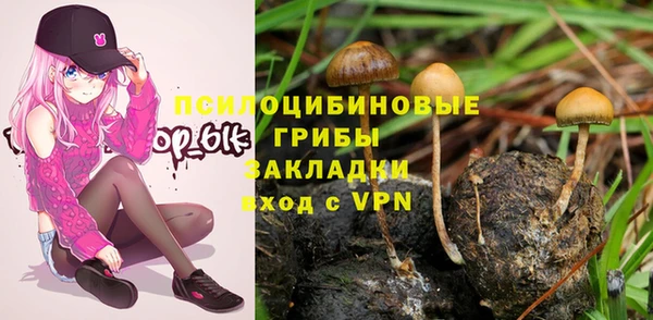 гашик Арсеньев