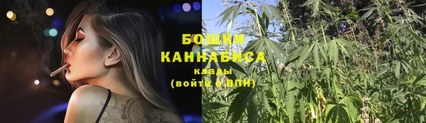 гашик Арсеньев