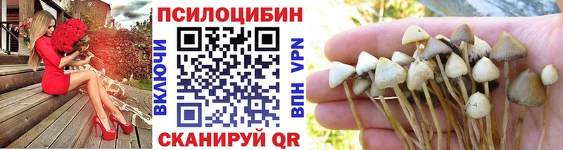 Галлюциногенные грибы Magic Shrooms  где продают наркотики  Мензелинск 